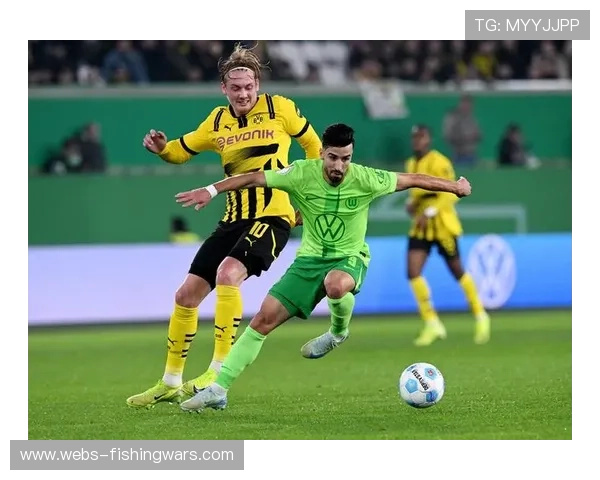 德甲50+1政策：历史、现状与争议